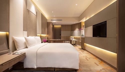 Habitación Business (Business Class)