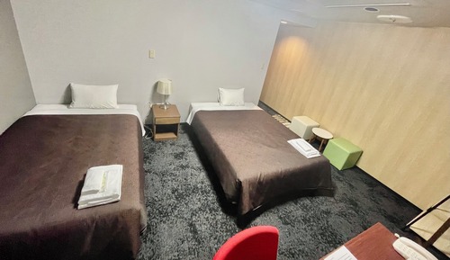 Habitación estándar con 2 camas individuales, fumadores