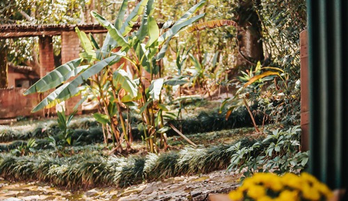 Habitación cuádruple