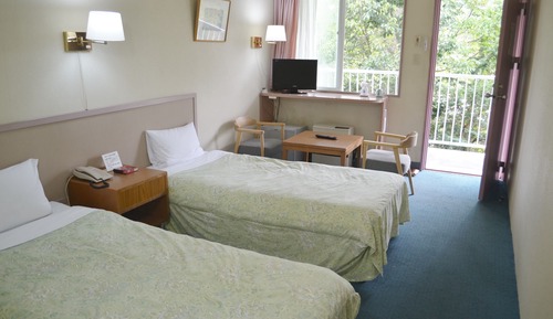 Habitación básica con 2 camas individuales, no fumadores