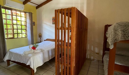 Estudio básico, 1 habitación, vistas al jardín