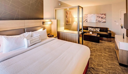 Suite, 1 cama de matrimonio grande con sofá cama