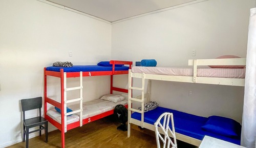 Dormitorio compartido básico, dormitorio mixto (Draco)