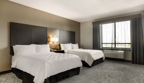 Suite, varias camas