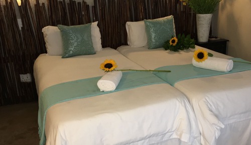 Habitación estándar con 2 camas individuales