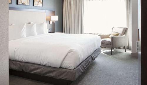 Suite Deluxe, 1 cama de matrimonio grande con sofá cama