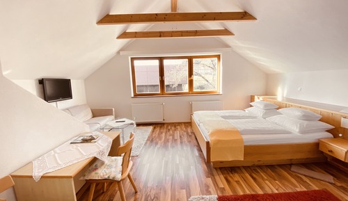 Habitación Confort doble