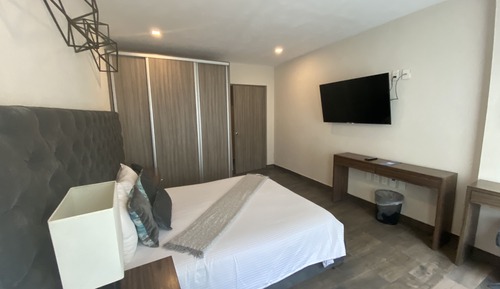 Suite estándar