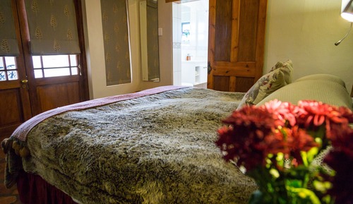 Estudio Confort, 1 habitación (Porcupine)