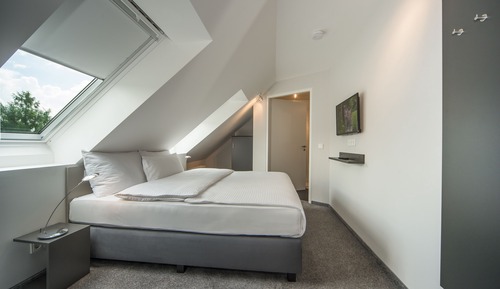Suite, 1 habitación