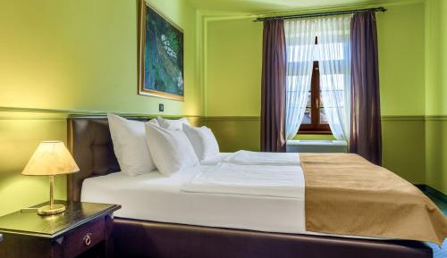Double or Twin Room with Mountain View