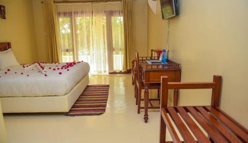 Standard Double or Twin Room