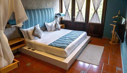 Deluxe King Room with Terrace