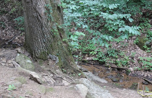 Gatlinburg - Pigeon Forge Alquiler De RV | Tentrr Signature Site - HAPPY HOLLOW HIDEAWAYS HALFWAY THERE