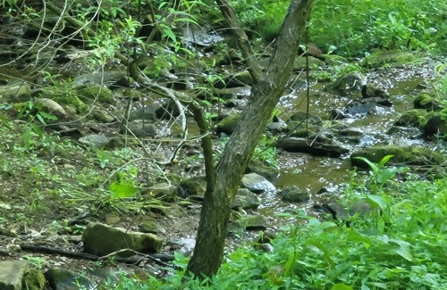 Gatlinburg - Pigeon Forge Alquiler De RV | Tentrr Signature Site - HAPPY HOLLOW HIDEAWAYS HALFWAY THERE