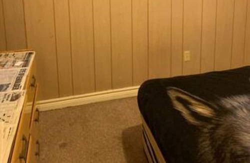 Edmonton Casa | Little Heavens - peaceful home centrally located in Edmonton, AB.