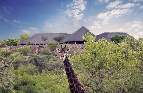 Gaborone Casa | Stay Close to Mokolodi Nature Reserve! Free Shuttle & Parking, Pool and Spa!