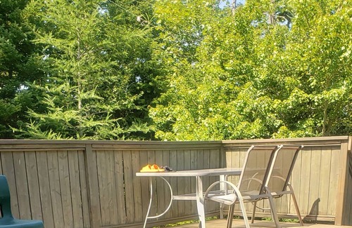 Halifax County Casa | The perfect home Away From Home 🏡
