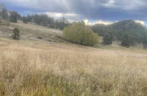 Nederland Cabina | Slice of Wild Heaven: Magical, Cozy, Forest Cabin @ the Top of the World. Views