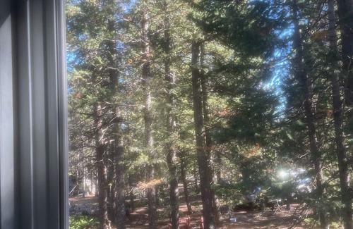 Nederland Cabina | Slice of Wild Heaven: Magical, Cozy, Forest Cabin @ the Top of the World. Views