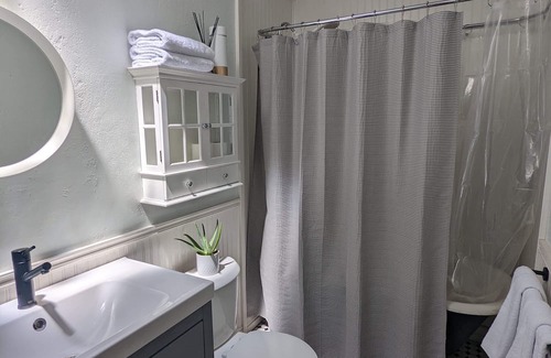 Whittier Casa | Denver’s Ultimate Getaway! Cozy one bed with big yard! Pet friendly!