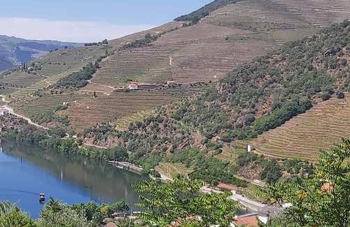 Bomfim Casa | Typical House in the heart of the Douro