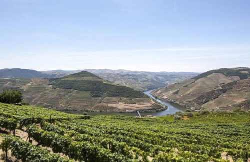 Bomfim Casa | Typical House in the heart of the Douro