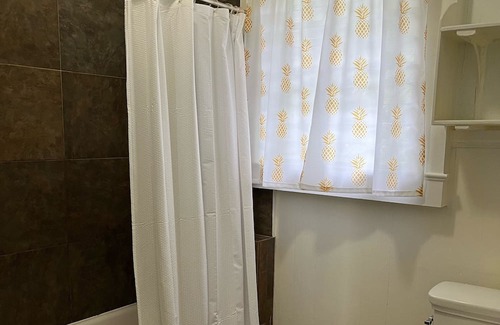 Hilo Casa | Hale Ponahawai - Charming Hilo Retreat
