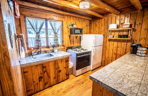 Evergreen Cabina | Colorado Bear Creek Cabin 8