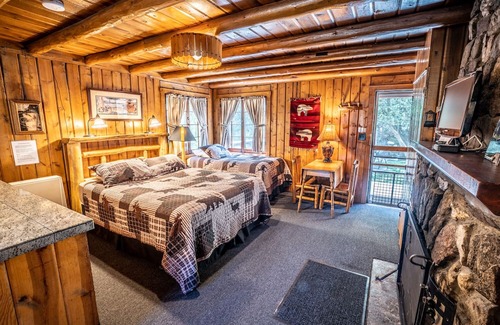 Evergreen Cabina | Colorado Bear Creek Cabin 8