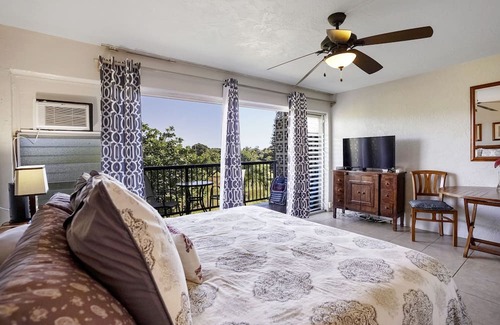 Poipu Condominio | Prince Kuhio 335 ESTUDIO DE VISTA AL MAR