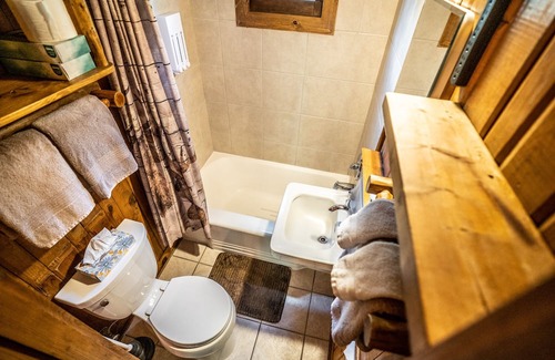 Evergreen Cabina | Colorado Bear Creek Cabin 6