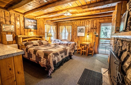 Evergreen Cabina | Colorado Bear Creek Cabin 6