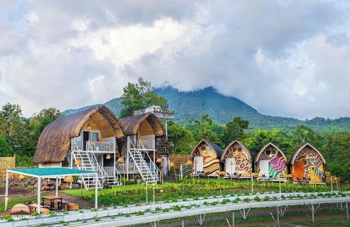 Tupi Hotel | Strawberry Guyabano Farm