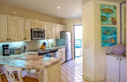 Marina Apartamento | Terrasol Oceanview Condo with Patio