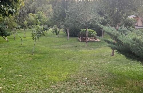 St.-Remy-de-Provence Villa | Villa De Anna