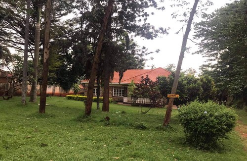 Jinja Casa | studio 62 guest house