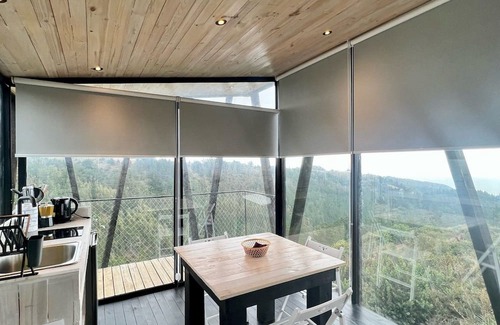 Buchupureo Casa | Casa Bosque en Olas de Buchupureo