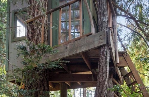 Shelton Cabina | Cozy 2-bedroom lakefront cabin with tranquil views