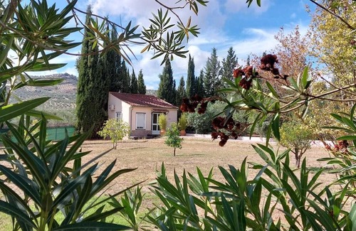 Olvera Cabaña | Relax in a wonderful environment in our Casita "Cacahuete".