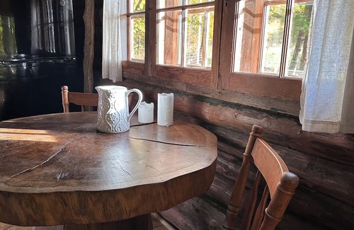 Winona Cabina | Private cabin and spa in the woods! Pet Friendly!