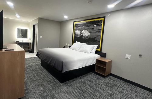 Lubbock Hotel | Super 8 BY Wyndham Lubbock Airport