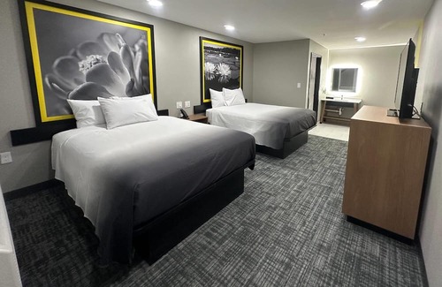 Lubbock Hotel | Super 8 BY Wyndham Lubbock Airport