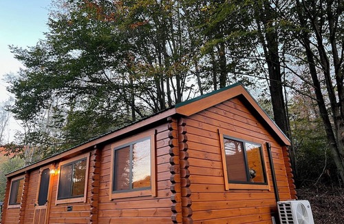 Mace Cabina | The Cozy Cabin: Mountain Escape at Snowshoe, WV