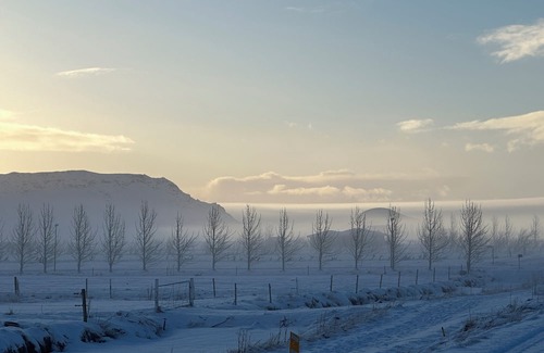 Sveitarfelagid Olfus Apartamento | Fancy Iceland? Central location in South Iceland.