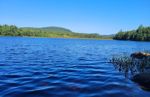 Washington Alquiler De RV | Peaceful campsite with WiFi in Washington