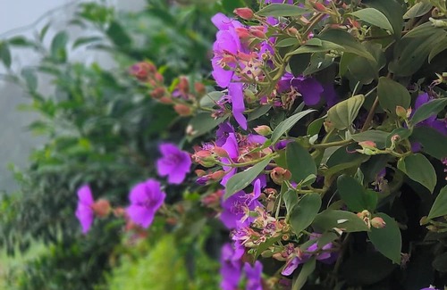 Namsaling Cabaña | Zero Points TheLaure cottage Shreeantu