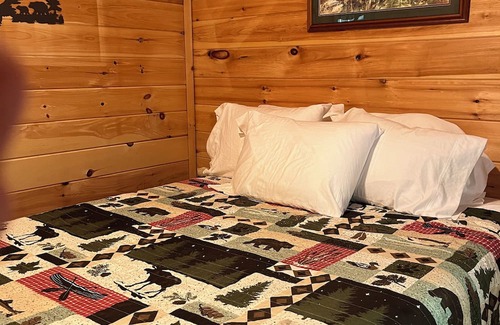 Bingham Cabina | Cozy 1 bedroom cabin with a loft, living space with internet, and a creek!