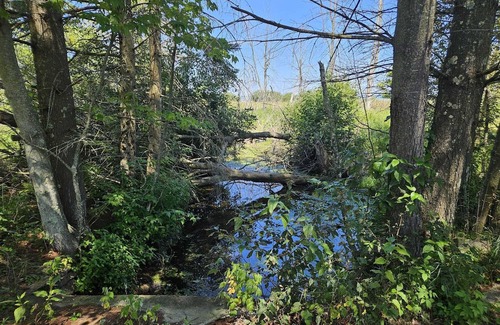 Black River Casa | Exclusive Private Lake Huron-front Sanctuary Engulfed by 8 Mile-long Sandy Beach
