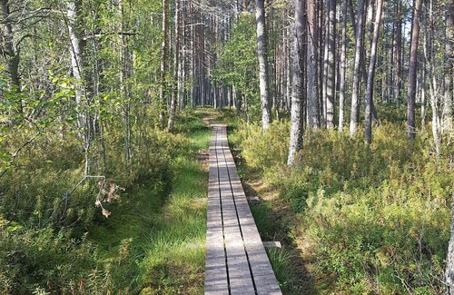 Hailuoto Cabaña | Cozy little cottage for couples on the island of Hailuoto near Oulu, Finland.